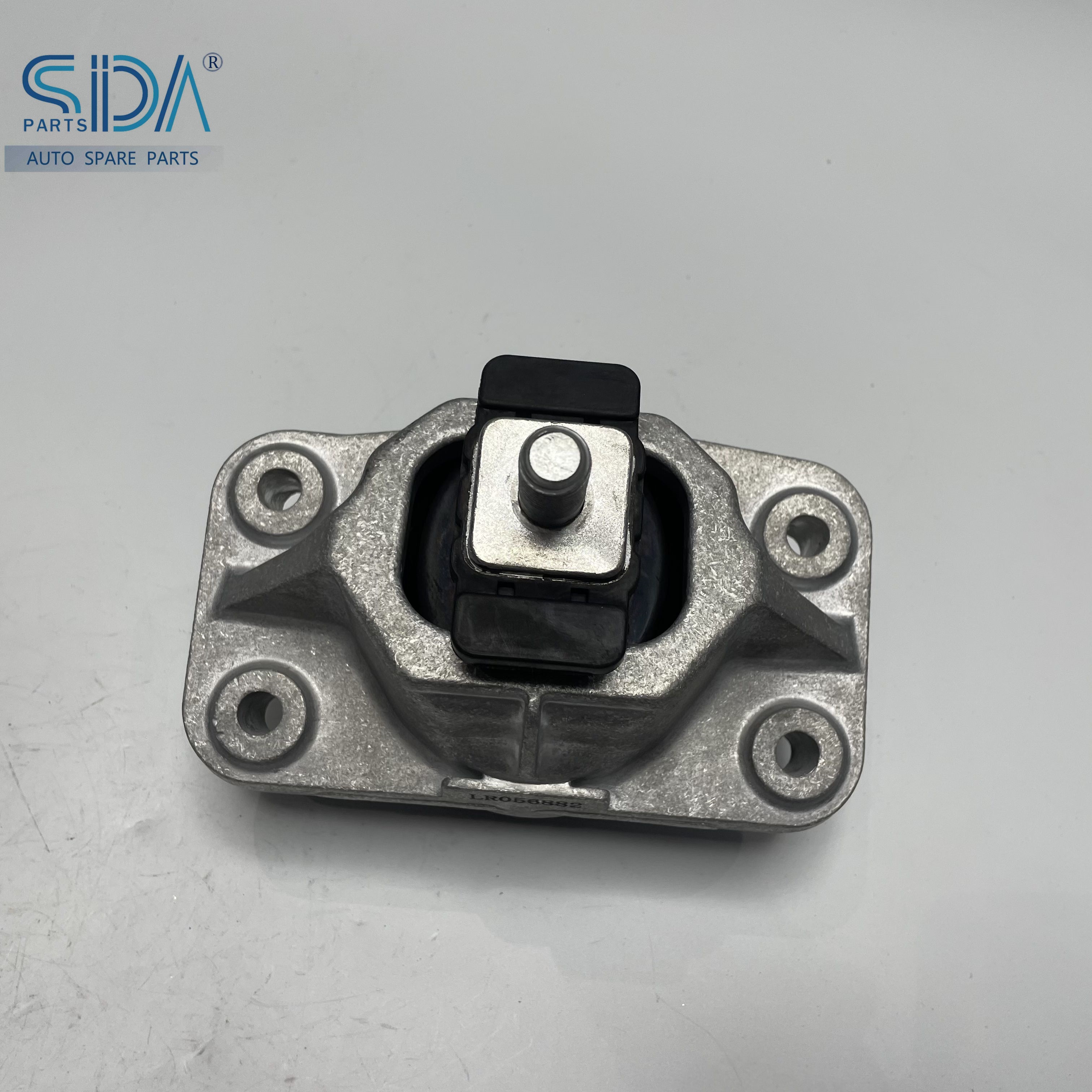 LR056882 (13)_副本