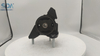 Wholesale High Quality Rubber Supplier Engine Mount 12371-11430 for Toyota COROLLA SPRINTER RAUM YARIS